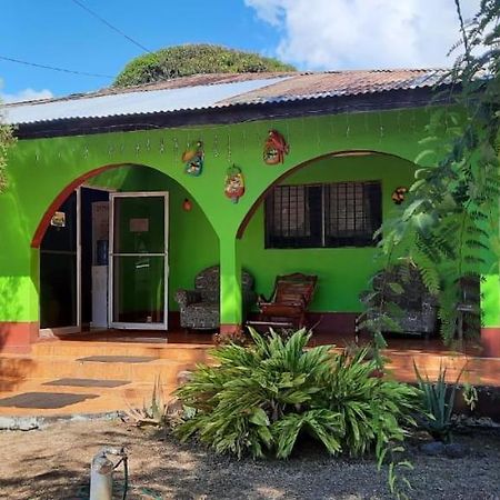 Hospedaje Tropical Dreams South End Εξωτερικό φωτογραφία