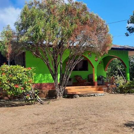 Hospedaje Tropical Dreams South End Εξωτερικό φωτογραφία