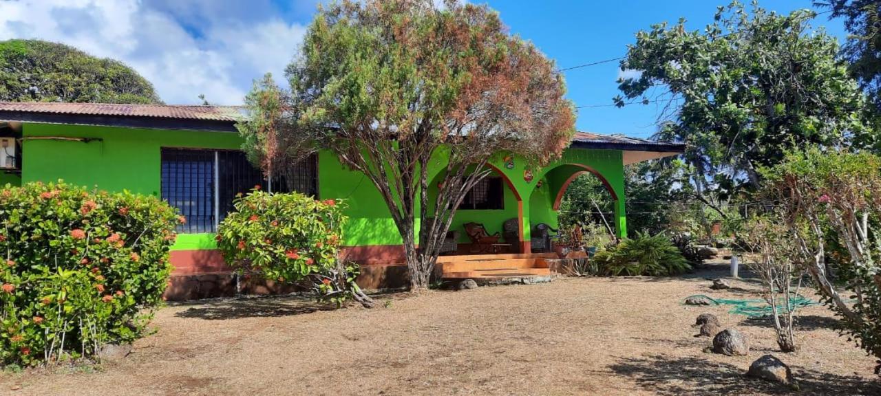 Hospedaje Tropical Dreams South End Εξωτερικό φωτογραφία