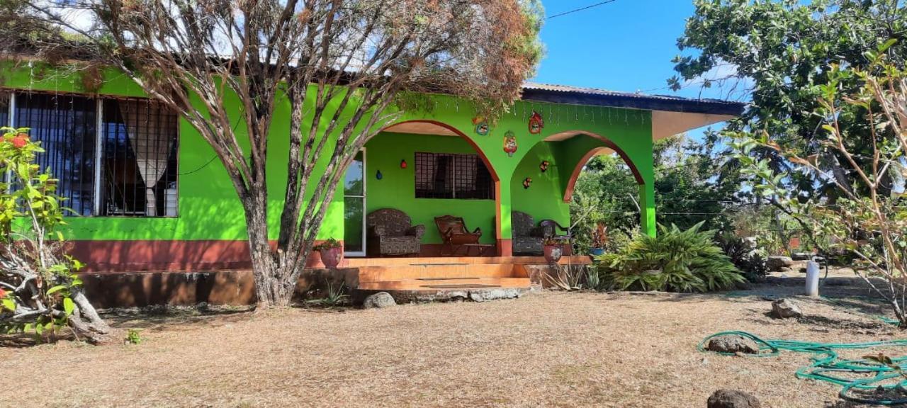 Hospedaje Tropical Dreams South End Εξωτερικό φωτογραφία