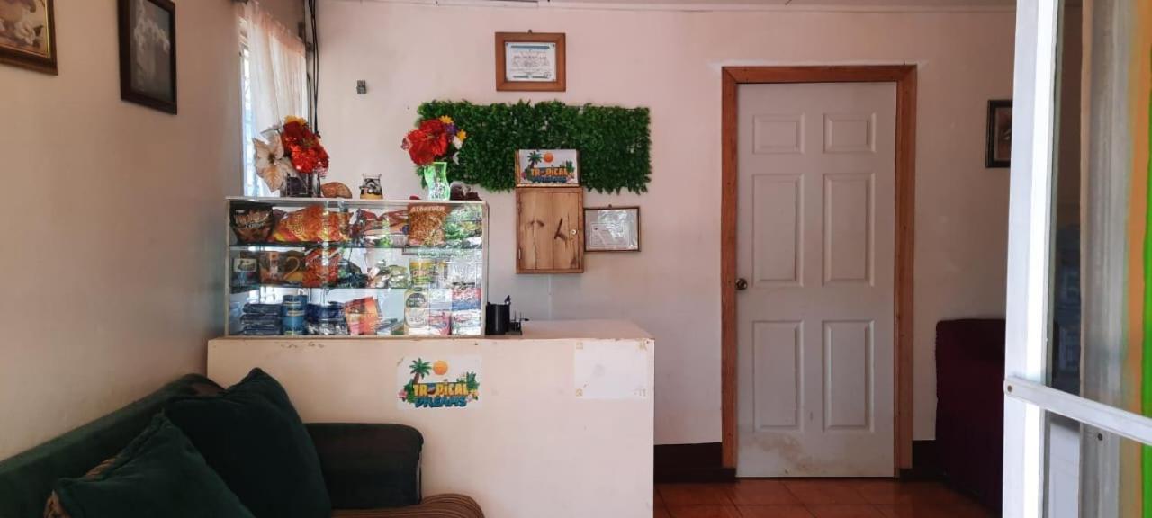 Hospedaje Tropical Dreams South End Εξωτερικό φωτογραφία
